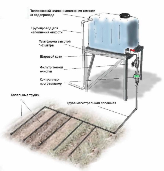 Com fer un subministrament d’aigua al país per regar des d’un barril