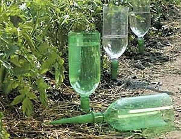Como fazer irrigação por gotejamento no país a partir de garrafas