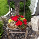 Una cadira pelada i que s’aixeca com un suport de flors