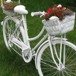 A bicicleta está além do conserto - pinte-a e plante flores. Poucas pessoas têm essa cama de chalé de verão (o principal é não ser destruída)