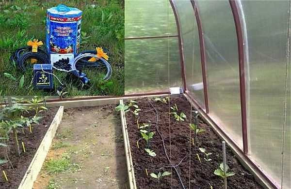 AquaDusya droppbevattningsset är perfekt för användning i små växthus, det fungerar också med öppna sängar