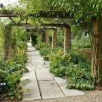 Potents columnes envoltades de lianes, jardí protegit