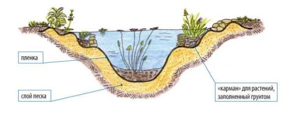 Hoe de bodem voor planten correct te maken. De opstelling van de vijver zal gemakkelijker zijn als u richels op verschillende niveaus maakt, stenen verspreidt en er een beetje aarde in giet