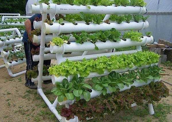 Uma cama para verdura de tubos de plástico