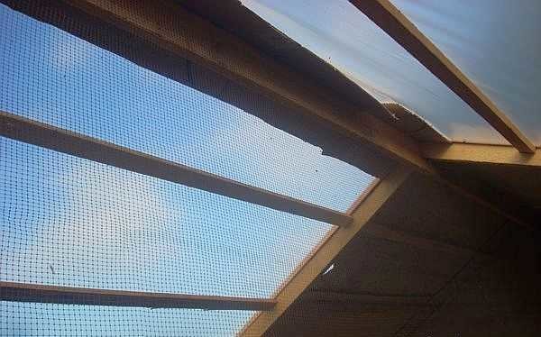 This is a view from the inside of the chicken coop to the ceiling