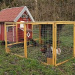 Det är bara ett kycklinghus, inte en ladugård