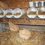 Plastic is very convenient in the chicken coop: easy to wash, inexpensive, you can do a lot of things