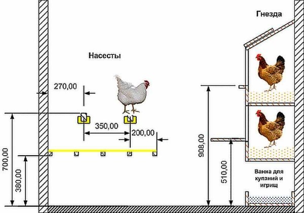 Anordnung des Hühnerstalles innen: empfohlene Größen