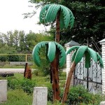 Les palmeres extravagants es tornen verdes fins i tot a l’hivern