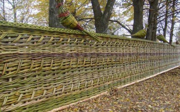 Wattle är en av de billigaste staket, särskilt om unga skott kan klippas i en närliggande skog