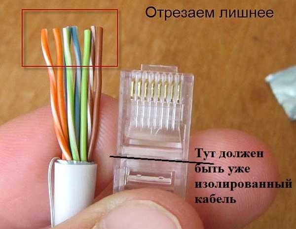 Одсеците тако да постоје жице од 10-12 мм