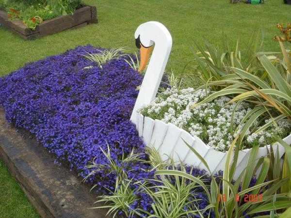 Jardim de flores de cisne em pranchas