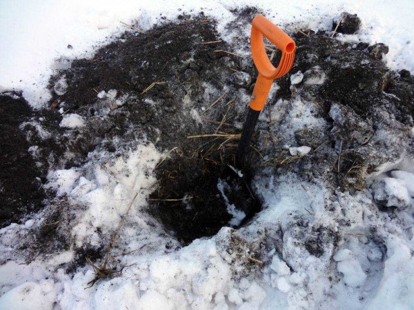 L’hivern i finals d’estiu són el millor moment per excavar pous