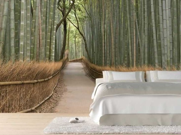 Der Weg im Bambuswald ...