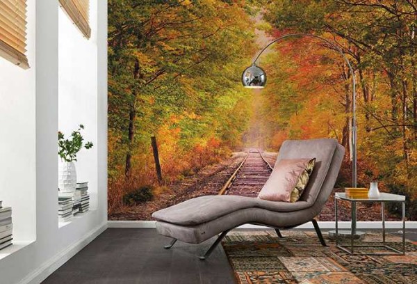 Floresta de outono promove relaxamento