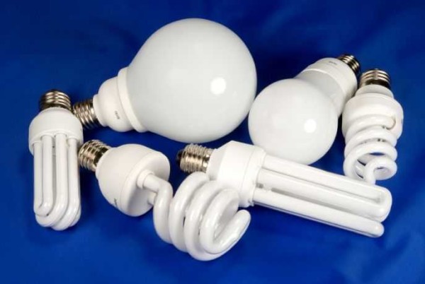 These are also fluorescent lamps, only the shape is different.