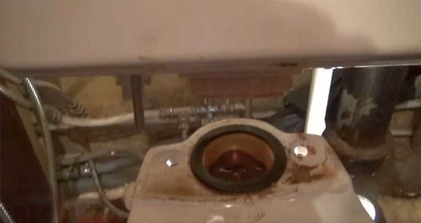 Rimuovere la cisterna dalla ciotola