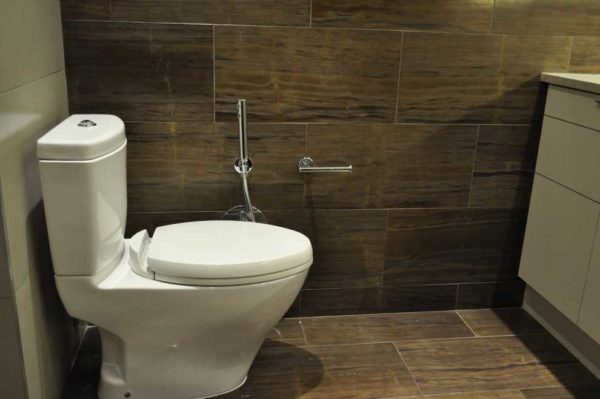 Toalett bidet dusj - det er flere alternativer