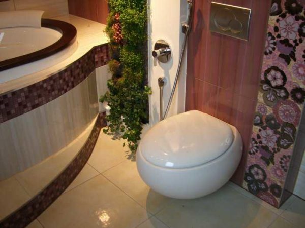 A la paret: una dutxa higiènica per al vàter