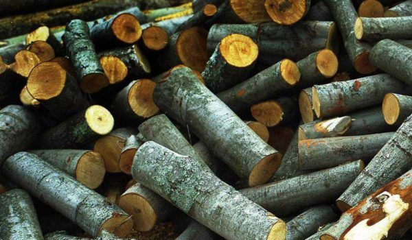 Đặt một vài khúc gỗ khi đun bếp và làm sạch ống khói khỏi bồ hóng được thực hiện