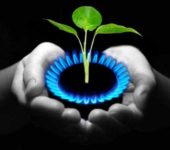 Bouw van een biogasinstallatie - een manier om zelfvoorzienend te zijn met energiebronnen