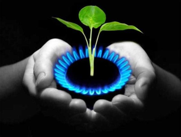 Изградња постројења за биогас - начин самоодрживости енергетским ресурсима