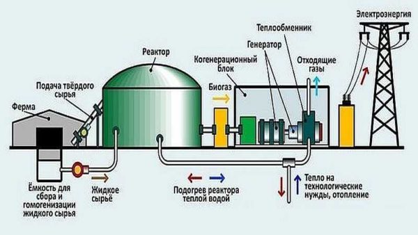 Най-препоръчително е да се разположи инсталацията за биогаз, така че отпадъците от фермата да могат да се доставят с мотек