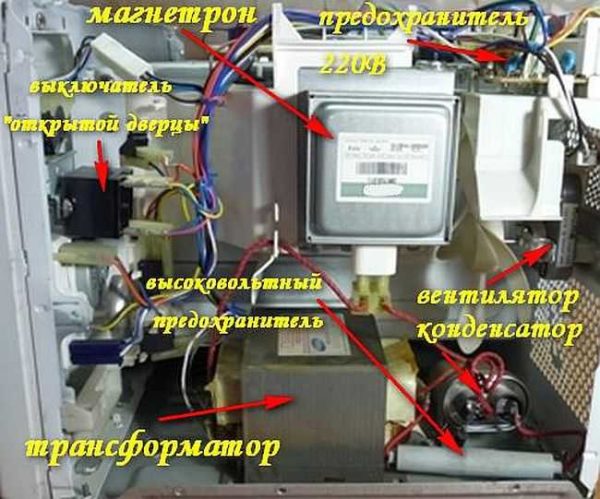 Disposizione approssimativa delle parti in un forno a microonde