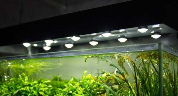 Ett exempel på att använda lysdioder för att belysa ett akvarium