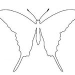 Đuôi của Swallowtail hấp dẫn, nhưng lượng giấy tiêu thụ cao hơn và công việc đòi hỏi độ chính xác cao hơn.