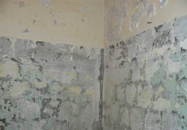 Odstranění staré povrchové úpravy ze stěn