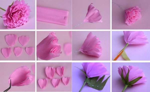 Hình ảnh từng bước làm hoa cẩm chướng bằng giấy