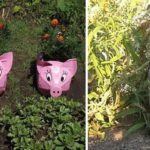 Porcos e lebres - um eterno tema para o jardim