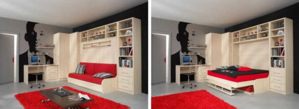 Eine der Möglichkeiten, ein Wohnzimmer-Schlafzimmer in einem Raum auszustatten
