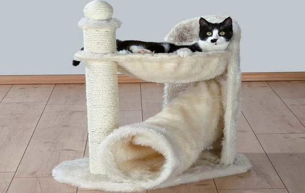 Bir hamak ve bir borunun kombinasyonu, bir kedi köşesi için ışık seçeneklerinden biridir.