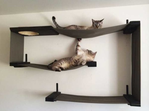 Combinação de prateleiras para gatos com redes ... quase uma obra de arte