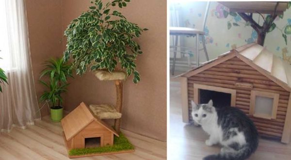 För en katt med kattungar är ett hus som står på golvet lämpligt