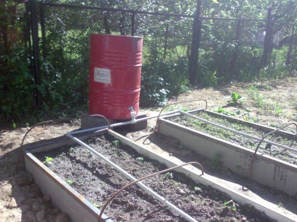 Sistema de irrigação por gotejamento caseiro feito de tubos de polímero, fonte de água - barril