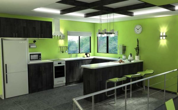 Paredes verdes na cozinha - você pode realmente sentir o quanto gosta