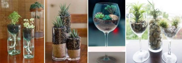 Gelas, gelas - hiasan asli dari bunga semula jadi untuk meja