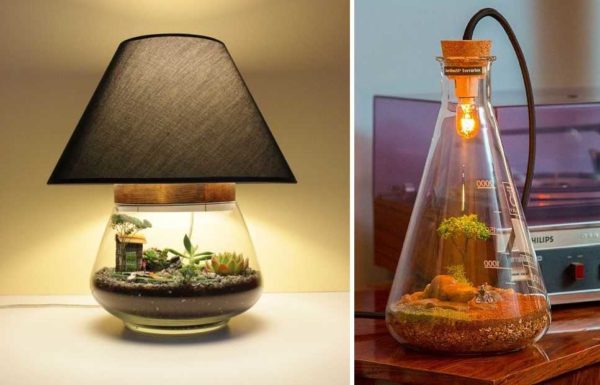 Pour fabriquer une lampe à partir d'un florarium - deux problèmes sont immédiatement résolus: l'éclairage et l'éclairage des plantes