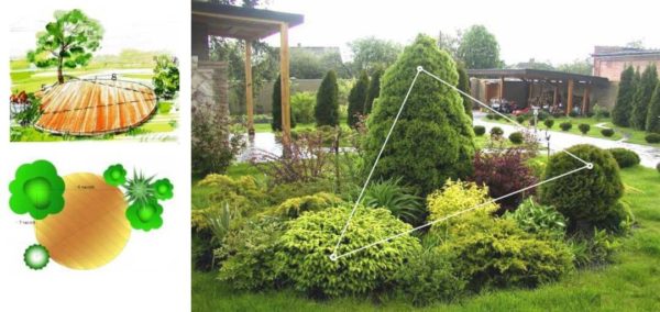 Златното сечение: Правилото за триъгълника в градинския дизайн