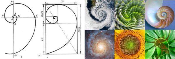 Fibonacci-sekvensen är inte bara en matematisk formel
