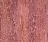 Textura de pintura DALI-DECOR. Casca de pinho com revestimento